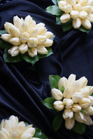 Cream-coloured tulip arrangements on dark fabric with green leaves.