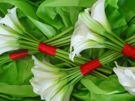 White calla lilies arranged in bundles with green leaves and red ribbon accents.