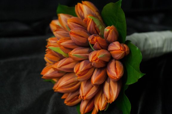 A bouquet of tightly closed orange tulips with green leaves.