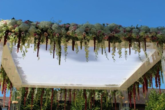 A structure adorned with hanging plants and colourful succulents under a clear blue sky.