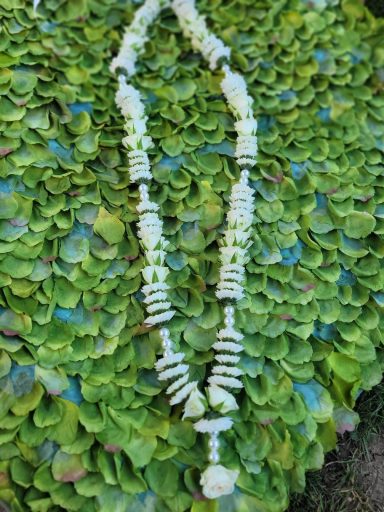 White beaded necklace displayed on a green succulent background.